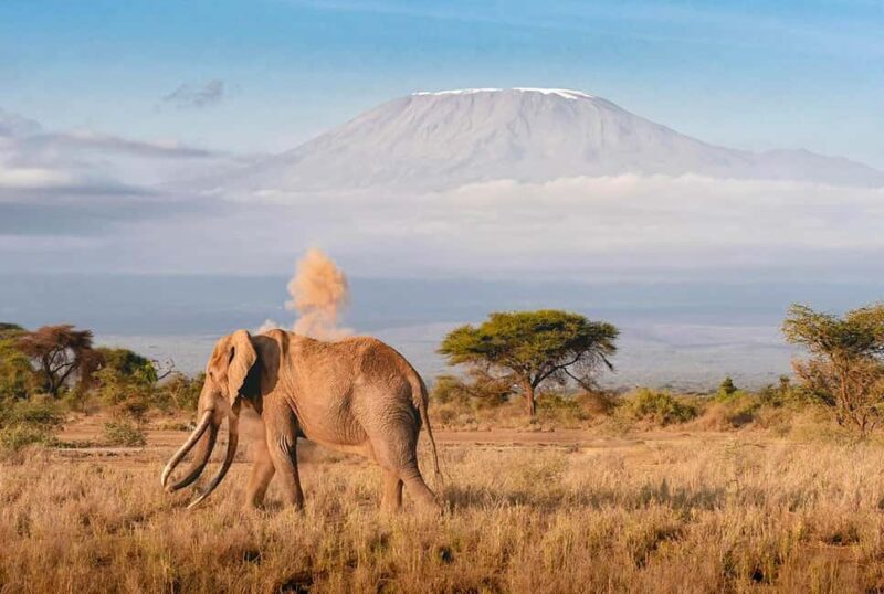 Tanzania: 3 DAYS (2 night) FULL IMMERSION Safari Adventure - The Sum Up