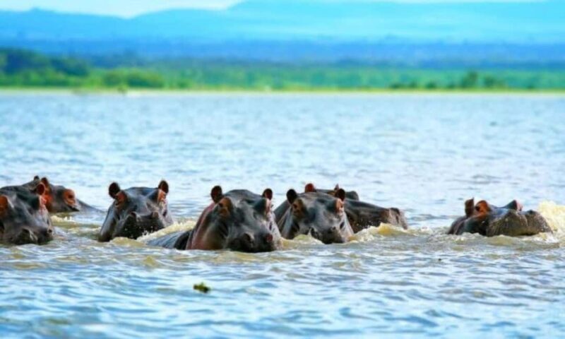 Tanzania: 4-Day Safari Nature in scenic view of Tanzania - Key Points