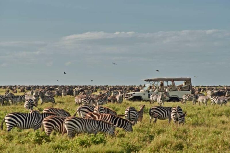 Tanzania: 4-Day Safari Nature in scenic view of Tanzania - Day Four: Returning to Arusha via Lake Manyara