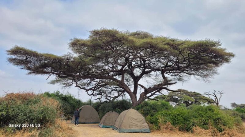 Tanzania: 4-Day Safari to Tarangire, Serengeti, and - Exploring the Itinerary: What Makes Each Stop Special