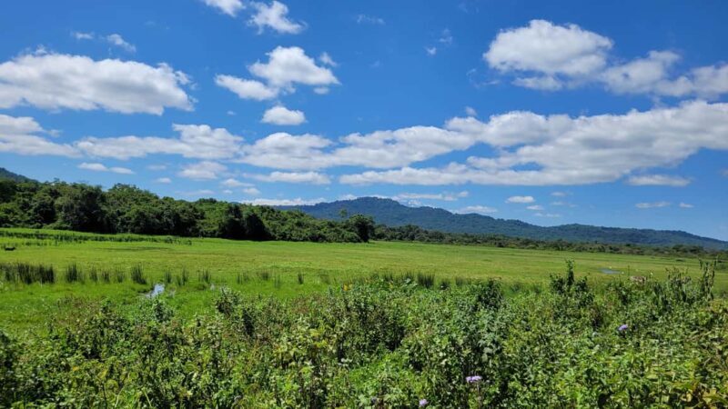 Tanzania: 4-Day Safari to Tarangire, Serengeti, and - Practical Tips for Travelers