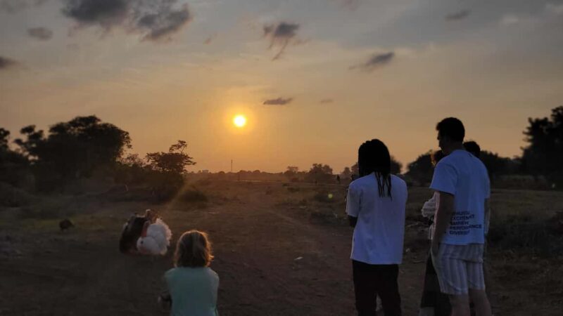 Tanzania: 4-Day Safari to Tarangire, Serengeti, and - Who Will Love This Safari?
