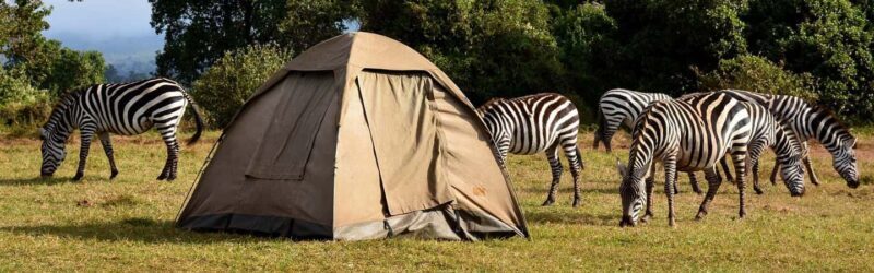 Tanzania: 4-Day Serengeti and Ngorongoro Private Camping - Key Points