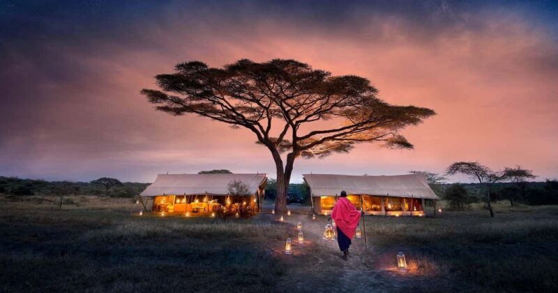 Tanzania: 4-Day Serengeti and Ngorongoro Private Camping - An In-Depth Look at the 4-Day Tanzanian Safari