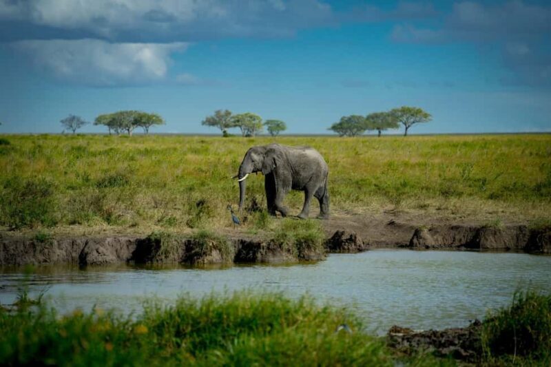 Tanzania: 4-Day Serengeti and Ngorongoro Private Camping - FAQs