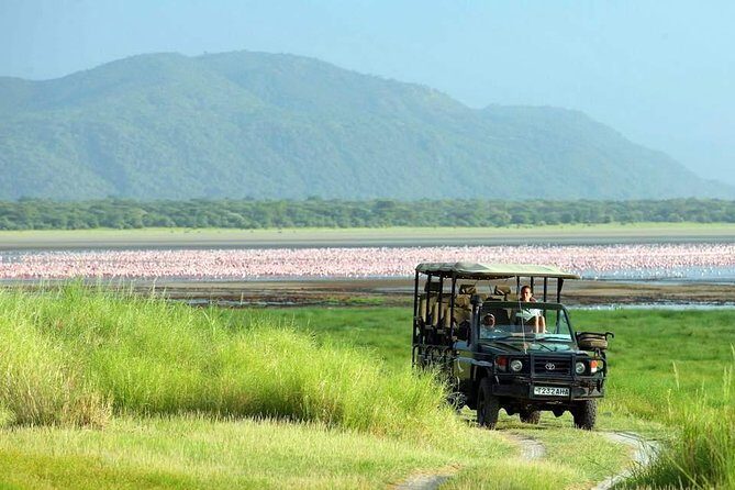 Tanzania 4 Days 3 Nights Budget camping safari to Serengeti and Ngorongoro - An In-Depth Look at the Safari Experience