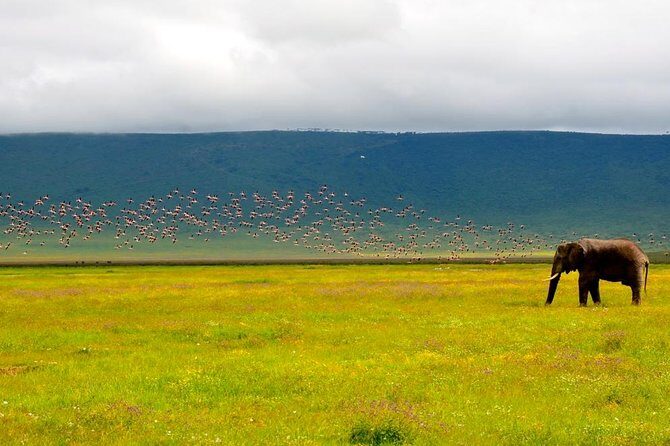 Tanzania 4 Days 3 Nights Budget camping safari to Serengeti and Ngorongoro - FAQ