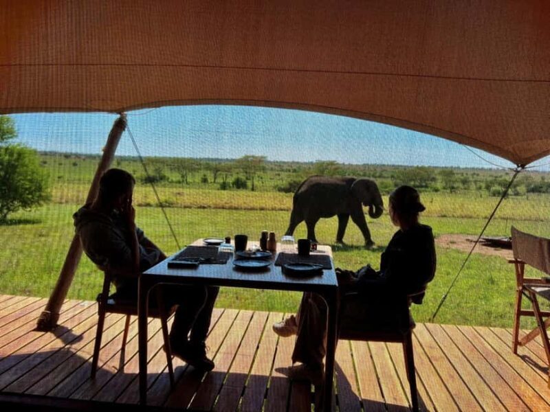 Tanzania: 5-Day Serengeti & Ngorongoro Crater Luxury Safari - Introduction: A Taste of Tanzania’s Iconic Wilderness