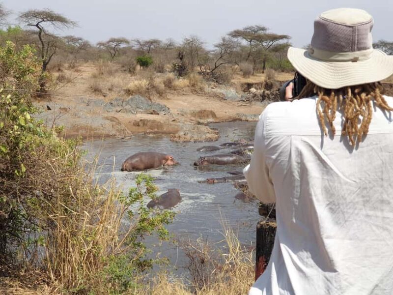 Tanzania: 6-Day Luxury Safari to Serengeti and Ngorongoro - Exploring Tanzania’s Top Wildlife Destinations