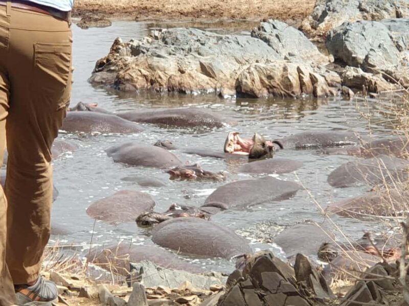 Tanzania: 6-Day Luxury Safari to Serengeti and Ngorongoro - Practical Considerations