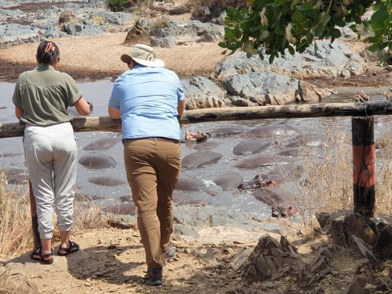 Tanzania: 6-Day Luxury Safari to Serengeti and Ngorongoro - Who Should Consider This Safari?