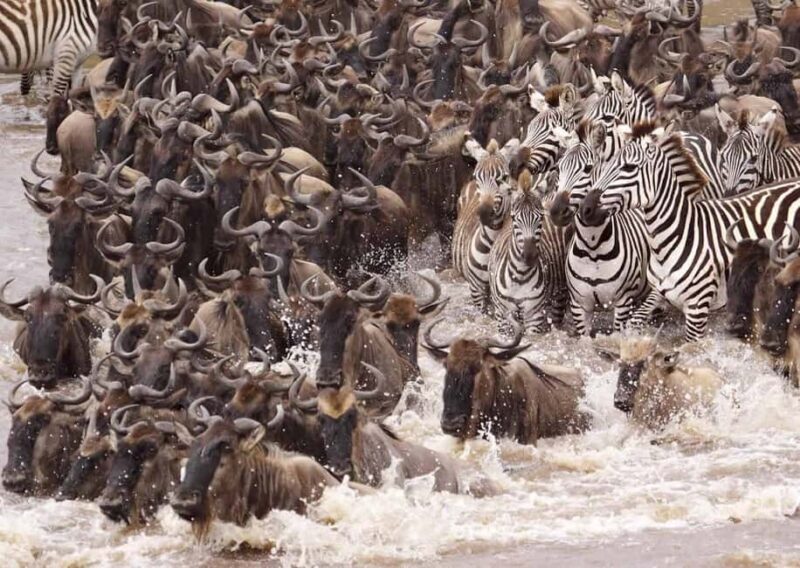 Tanzania: 7-Day Budget Lodge Safari with Accommodations - What to Expect from the Itinerary