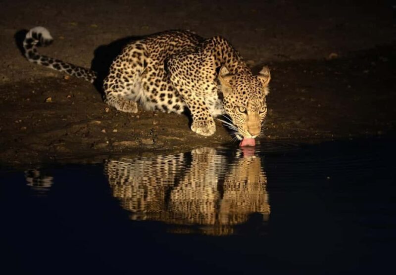 Tanzania: 7-Day Wildlife Tour and Romantic Zanzibar Island - Key Points