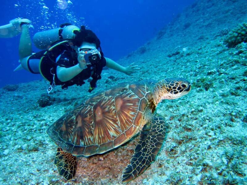 Tanzania: 7-Day Wildlife Tour and Romantic Zanzibar Island - Frequently Asked Questions