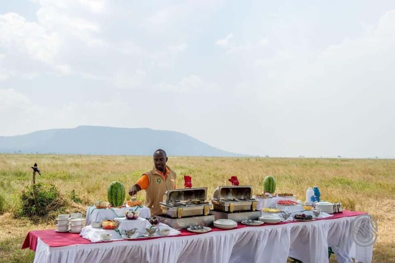 Tanzania: 8-Day Private Safari - Key Points