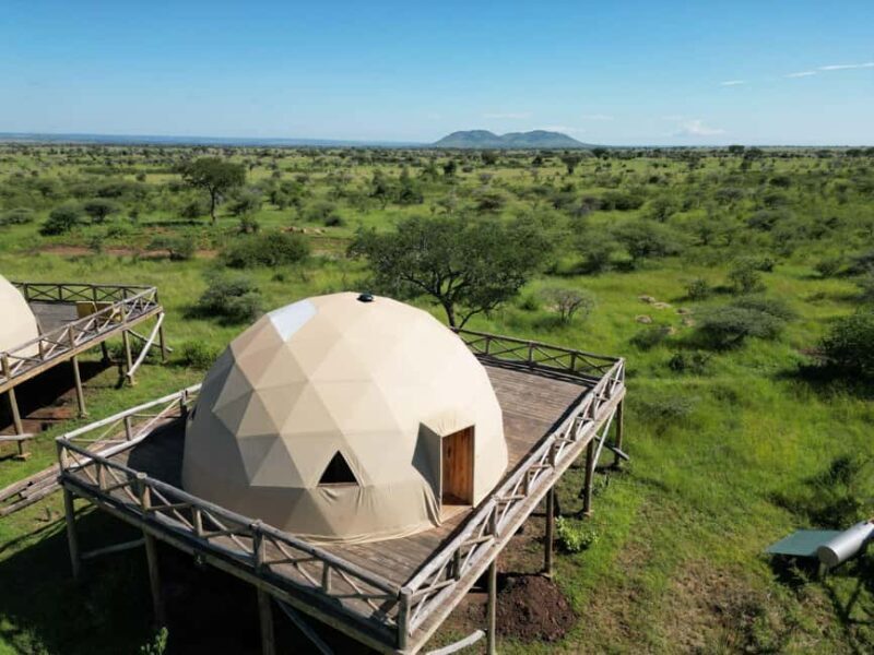 Tanzania: 8-Day Safari and Volcano Trekking Adventure - Who Is This Tour Best For?