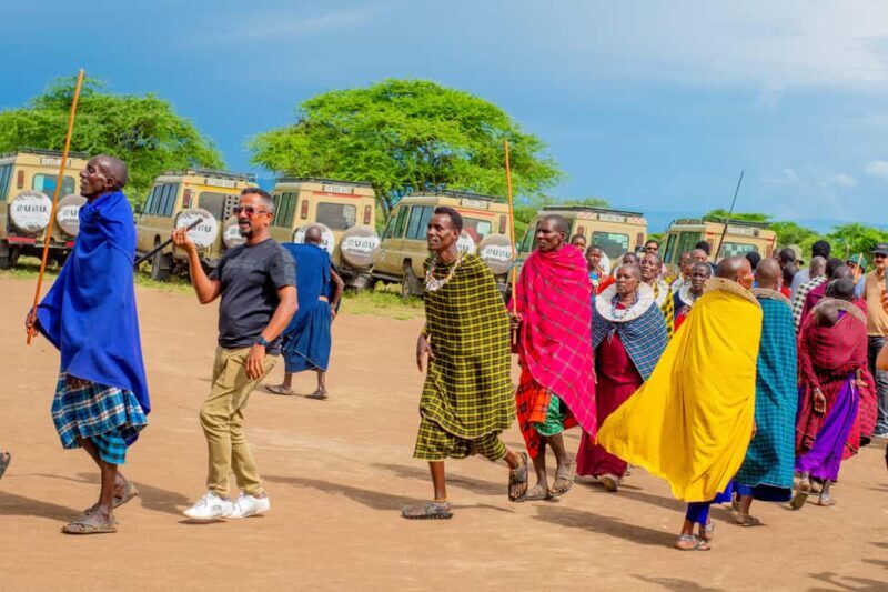 Tanzania: 8 Days Drive In Fly Out Luxury Safari - Key Points
