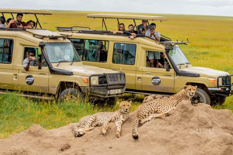 Tanzania: 8 Days Drive In Fly Out Luxury Safari - A Closer Look at the Itinerary