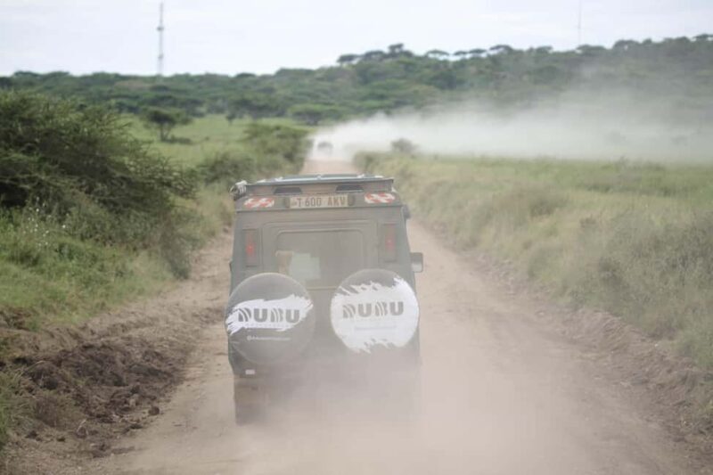 Tanzania: 8 Days Drive In Fly Out Luxury Safari - The Experience on the Ground: Why It Works