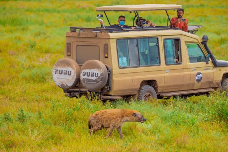 Tanzania: 8 Days Drive In Fly Out Luxury Safari - Who Is This Tour Best For?