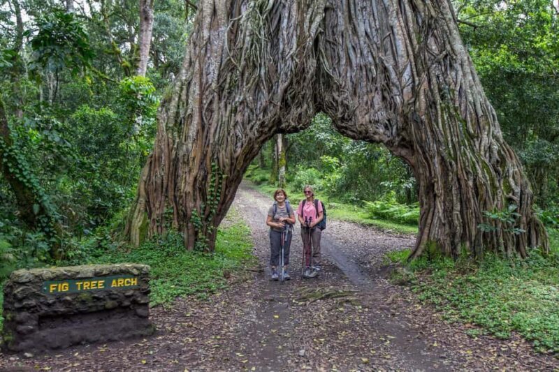 Tanzania: 9-Day Safari with Maasai Cultural Experience - Key Points