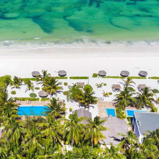 Tanzania and Zanzibar: 12-Day Honeymoon Adventure - From the Savannah to the Stars: Romantic Dinners and Sunset Views