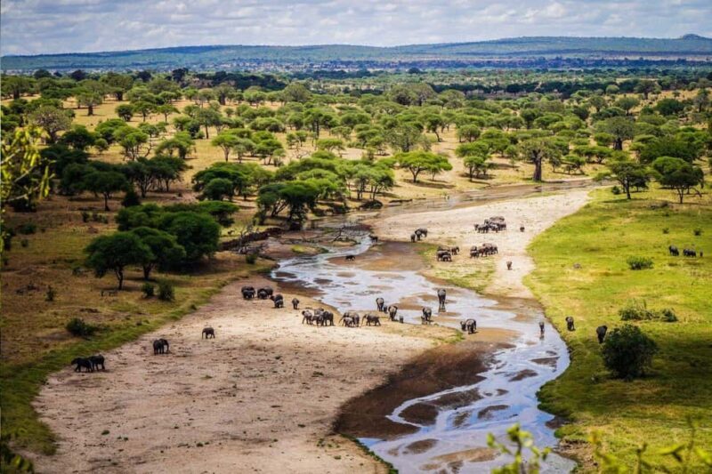 Tanzania: Big 5 Tour - Accommodation and Meals — Convenience and Authenticity
