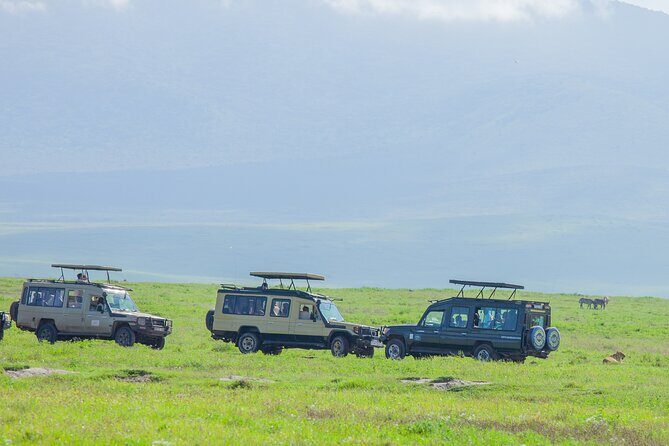 Tanzania Classic Safari 3 Days / 2 Nights - A Practical Look at the Tanzania Classic Safari 3 Days / 2 Nights