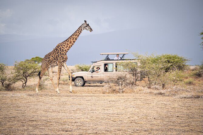 Tanzania Enticing Explorations - 6 Days - FAQs