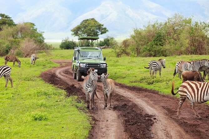 Tanzania Family Holiday; 8-Days Lodge Safari - The Route and What to Expect