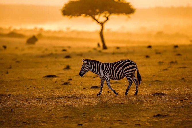 Tanzania Family Holiday; 8-Days Lodge Safari - Final Thoughts