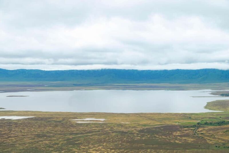 Tanzania: Five Days midrange safari - A Practical Guide to Tanzania’s Five-Day Safari