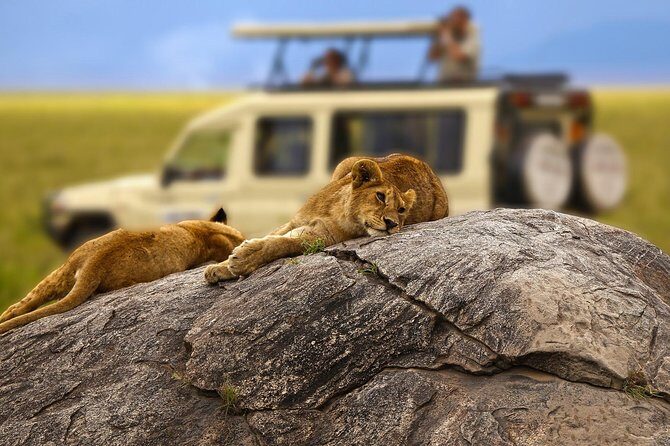 Tanzania Private Classic Safari - 7 Days - Exploring the Itinerary in Detail