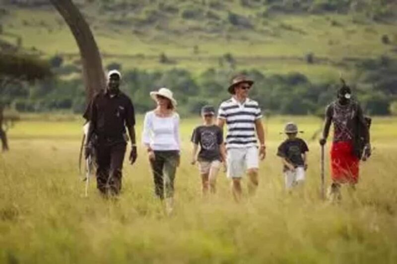 Tanzania Safari: Mikumi National Park Tour with One night - Key Points