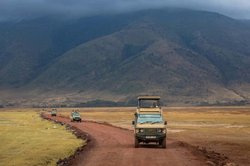 Tanzania safaris and Zanzibar beach - What Makes This Tour Stand Out