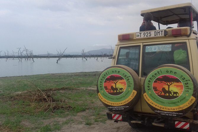 Tanzania Trip Amazing Tarangire Ngorongoro and Manyara - The Sum Up