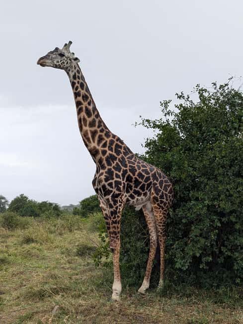Tanzania Wild Explorer - Final Thoughts