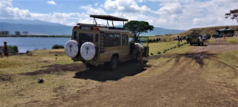 Tanzania wild safari: 2-Days Tarangire and Ngorongoro Crater - What Makes This Safari Stand Out