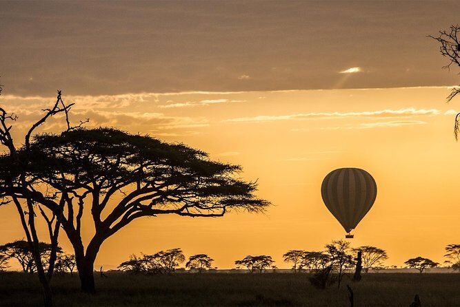 Tanzania wildlife & Cultural Safari- 11days - Key Points