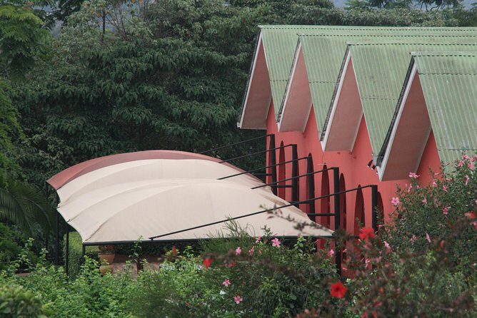 Tanzania wildlife & Cultural Safari- 11days - An Authentic African Adventure: What to Expect