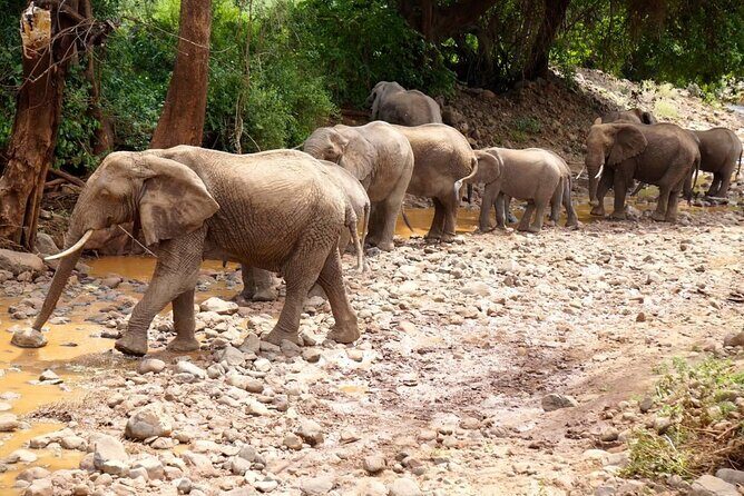 Tanzania Wildlife Encounters - 6 Days - Final Thoughts