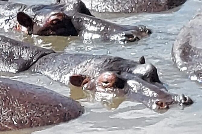 Tanzania Wildlife Safari Budget Camping - Who Should Consider This Safari?