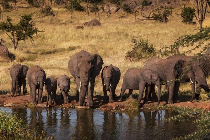 Tanzania Wildlife Safari - Tarangire | Serengeti and Ngorongoro Crater - An In-Depth Look at the 5-Day Safari Experience
