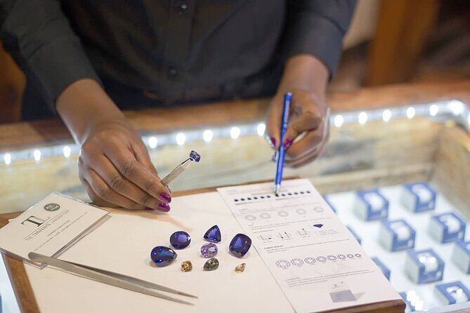 Tanzanite experience tour - Tanzanite shopping in Arusha - Who Should Consider This Tour?