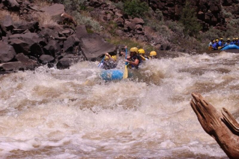 Taos/Santa Fe: Rio Grande Class IV "Taos Box" Rafting - Who Should Consider This Tour?