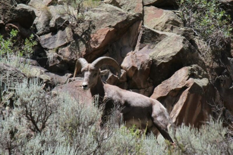 Taos/Santa Fe: Rio Grande Half-Day Float Trip - What to Expect During the Float Trip