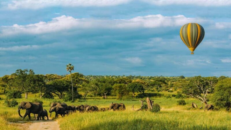 Tarangire: Balloon Safari and Bush Breakfast - Key Points