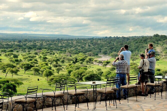 Tarangire Budget Full Day Tour from Arusha - Practical Tips and Considerations