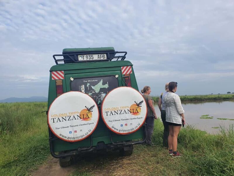 Tarangire National Park day trip - What Makes This Tour Stand Out?