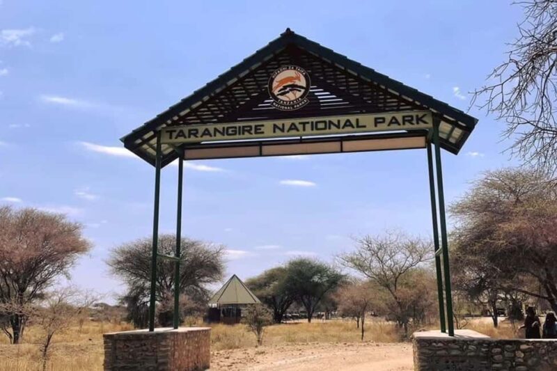 Tarangire National Park Full-Day Wildlife Safari - FAQ